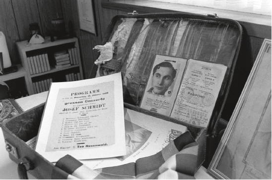 Abbildung aus der Publikation