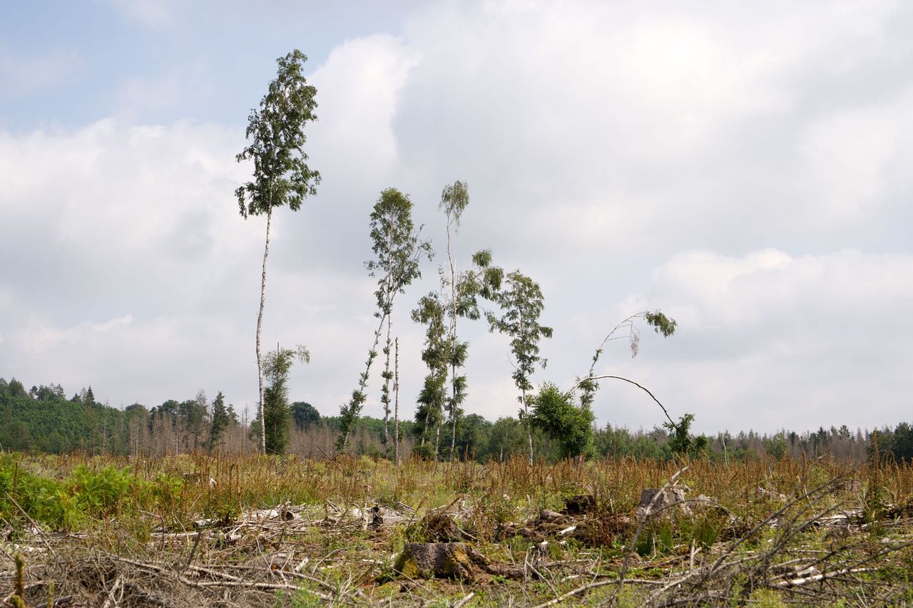 Foto: Theresa Kampmeier, VG Bild-Kunst, Bonn, 2022