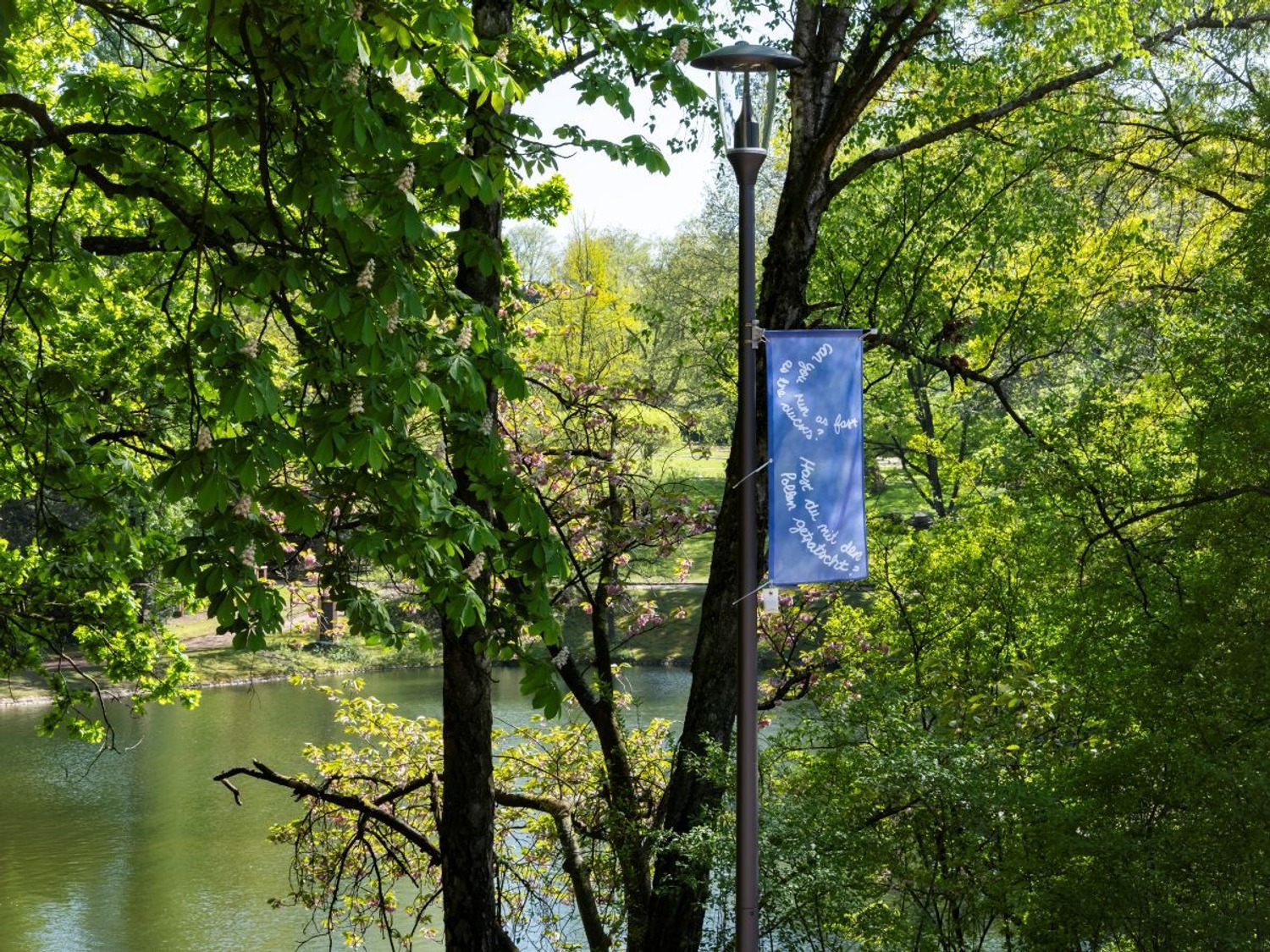 Visual arts grants up to 12 months