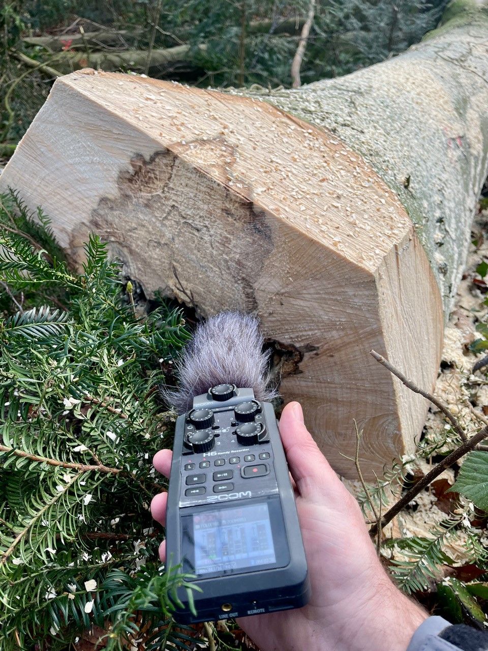 Foto: Rimini Protokoll